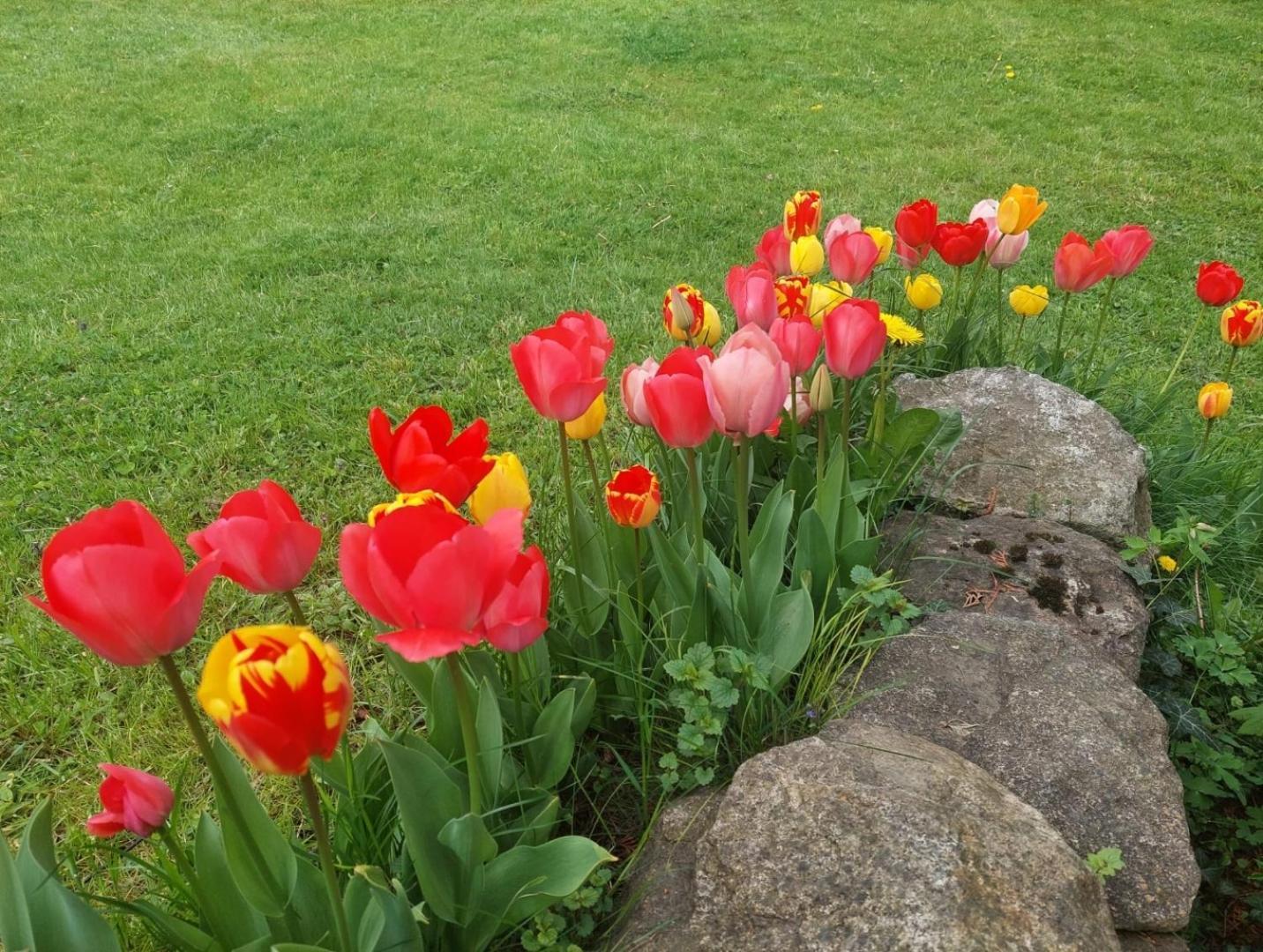 400Qm Bayerische Villa 2500Qm Uneinsehbarer Garten In Beliebter Urlaubsregion Freyung Buitenkant foto