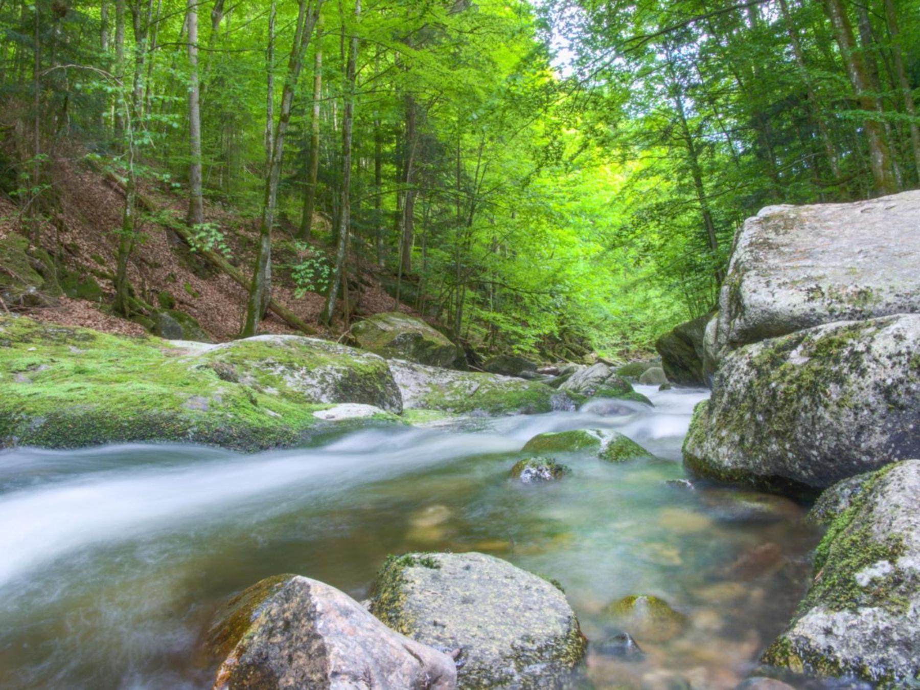 400Qm Bayerische Villa 2500Qm Uneinsehbarer Garten In Beliebter Urlaubsregion Freyung Buitenkant foto